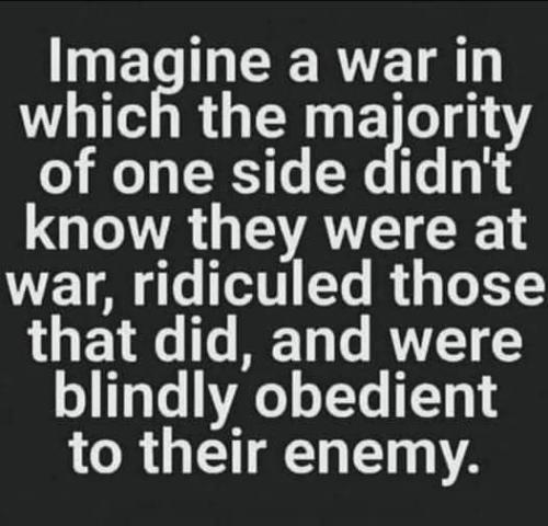 FB_IMG_1643669226460