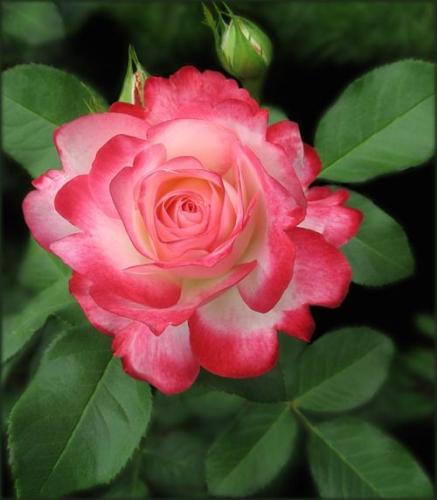 09:35:47 GMT-0600 (CST)