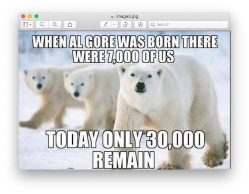 al gore f
