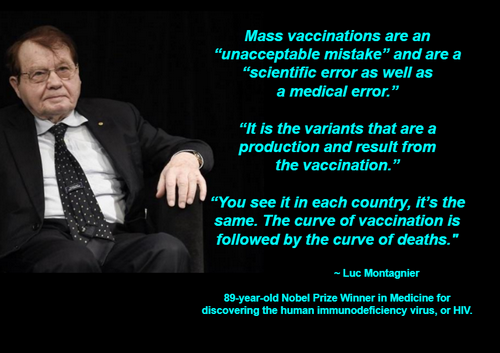 b5d138e8f840107cb2d50c7c2f69afc0_500x0