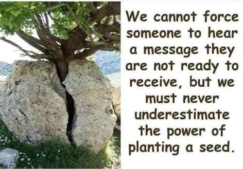 5FED7998-926A-4A59-9E3A-1DE97396F4F2