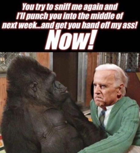 6672A77F-69EE-418E-A7AB-716B4988742A