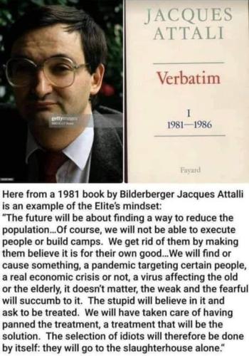 pandemic_slaughter_1981