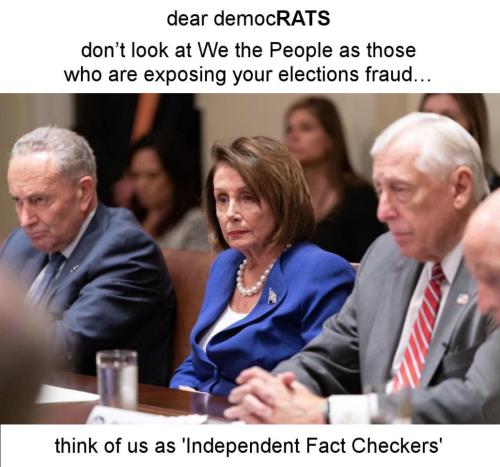 voterfraud264