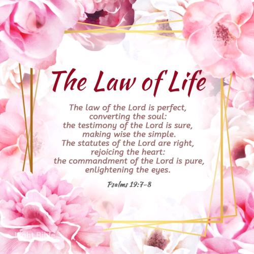 08:51:05 GMT-0500 (EST).*