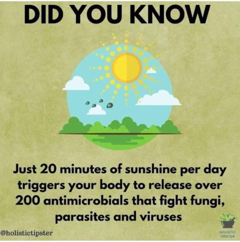 14:35:02 GMT-0600 (CST)