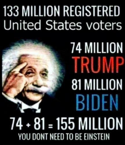 voterfraud275