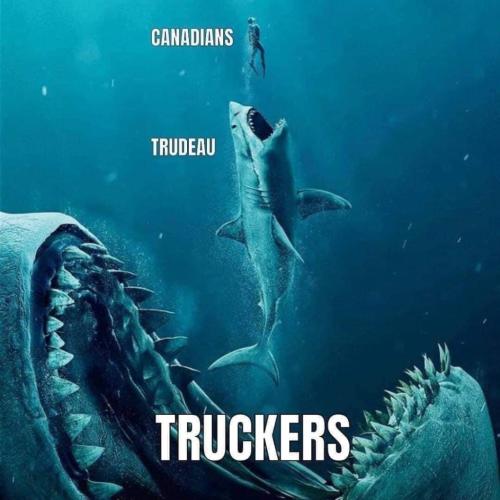 FB_IMG_1643047044279