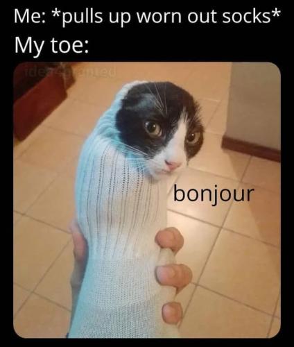 old-but-gold-funny-memes-10