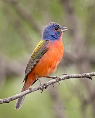 270077210_2066119310213058_2482546563330199705_n