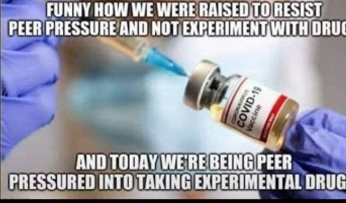 Screenshot_20220107-221140-218