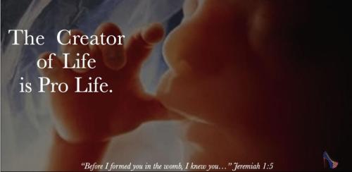 272242213_476616290490883_2523945048663174343_n