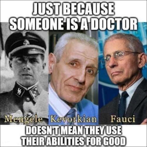 fauci176