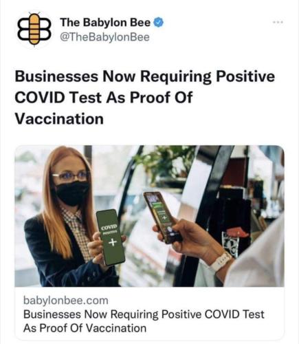 photo_2022-01-08_09-58-02