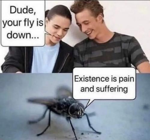 272294412_4804955299619391_5893143931658211406_n