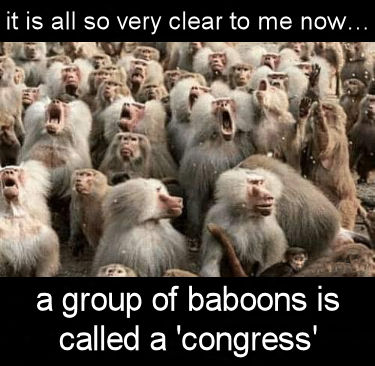 congress172