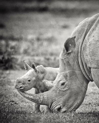 tumblr_88bb6f91a97f3c1f504a4218cd3a7da9_1fe7bf7e_540