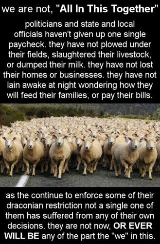 draconian restrictions00