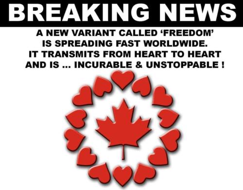 01:11:56 GMT-0600 (CST)