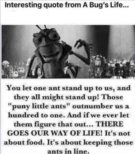 FB_IMG_1641961522656