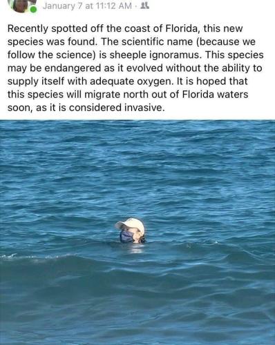 22:16:34 GMT-0600 (CST).image