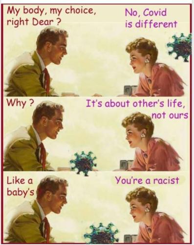 lib_chat_covid_vs_abortion