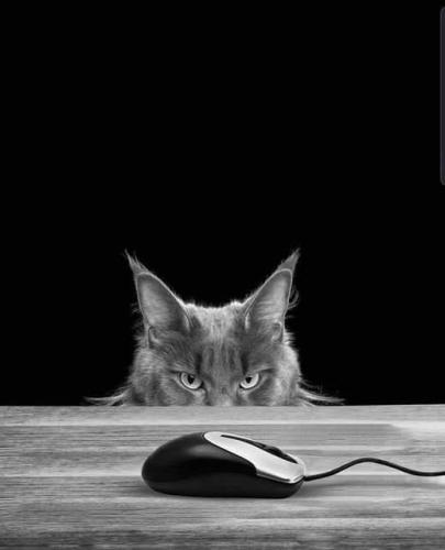 FB_IMG_1641697916238