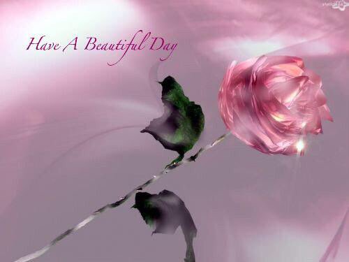 05:19:38 GMT-0800