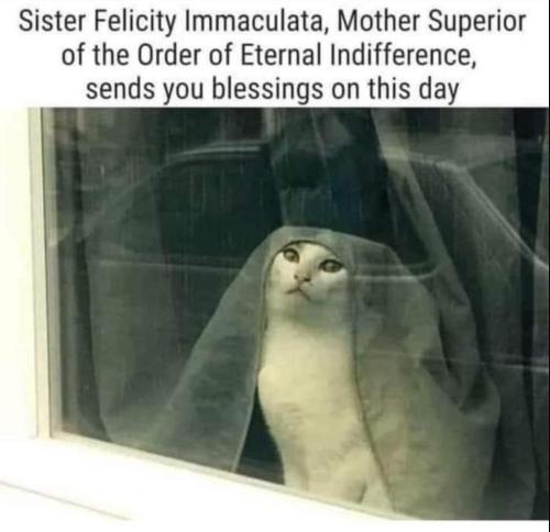 received_402770251587060