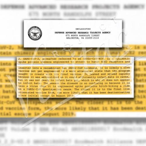 19:47:48 GMT-0600 (CST)