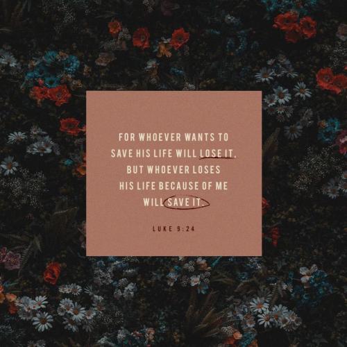 12:10:04 GMT-0500 (EST)