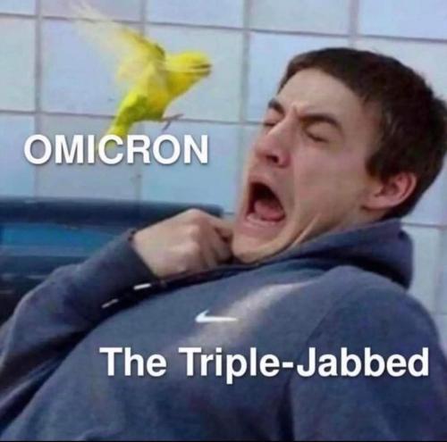 08:16:31 GMT-0600 (CST)