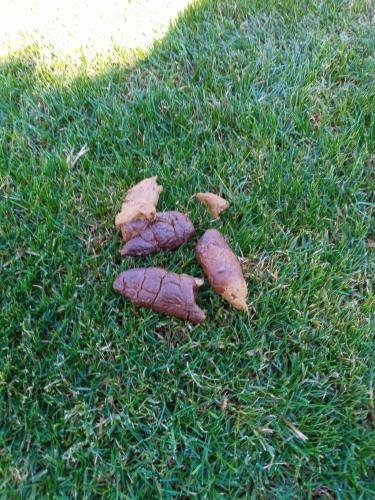 07:21:25 GMT-0700 (MST)