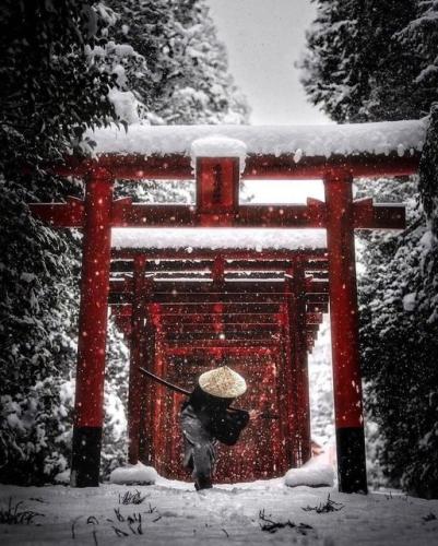 271286591_1442297189499341_3654323326975825248_n