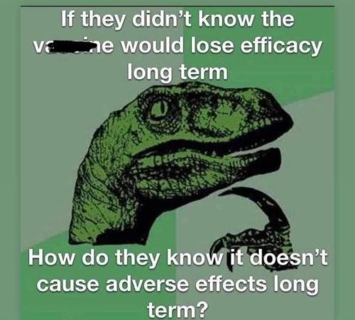 FB_IMG_1641312138758