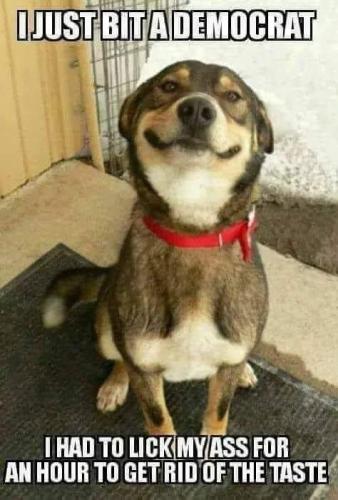 20:38:59 GMT-0600 (CST).image