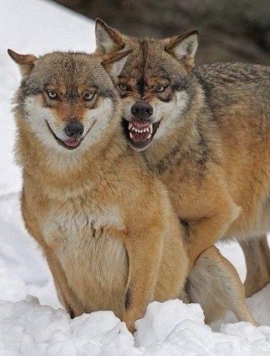 21435938a57d7b0bed72661b9cad2f89