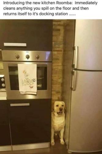 270978982_5044404105570441_918199509649817241_n