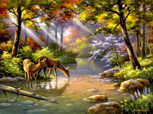 ! Deer drinking from river