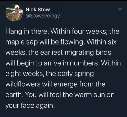 272571088_478318106999049_5063704940441539460_n