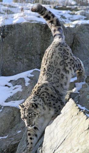 271932247_1744041592461850_7181488181914475515_n