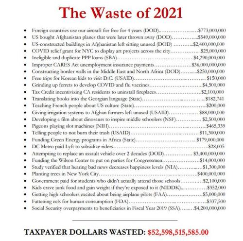 tax dollars wasted