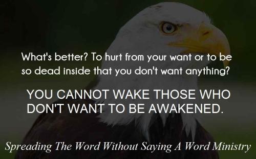 b10c2e4248e9b67e17bffd1357e78249_1024