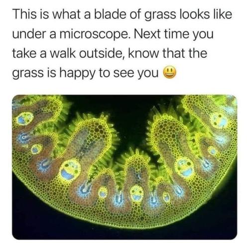 270456266_4124394974327520_2041528628320668247_n