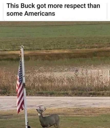 FB_IMG_1642785799614
