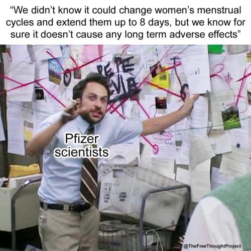 271834300_2704402126533651_4344805168336794032_n