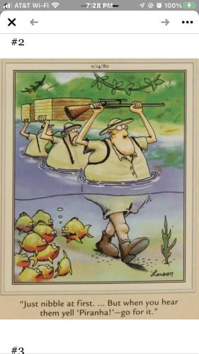 3D7A6003-A4C0-464E-8358-BFB1A078FB4F-9917-00000420C31A7500