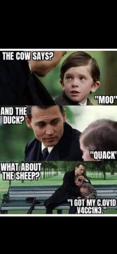 FB_IMG_1642000596136