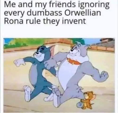 FB_IMG_1642136926763