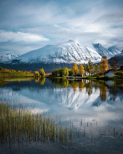 Beautiful Snowy Mountain with green trees